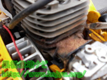 エンジン周りの汚れ