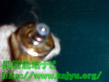 グリスニップルの写真