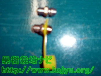 交換用ニップル