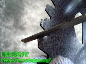 チップソーの目立て