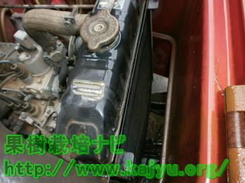 掃除したラジエーター